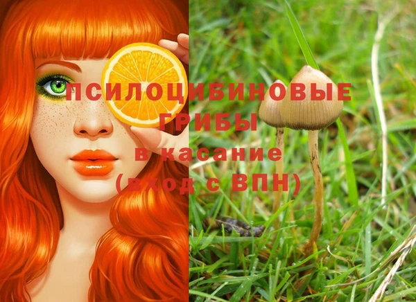 бутират Яранск