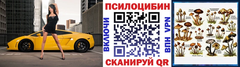 мега как зайти  наркотики  Обнинск  Галлюциногенные грибы Cubensis 
