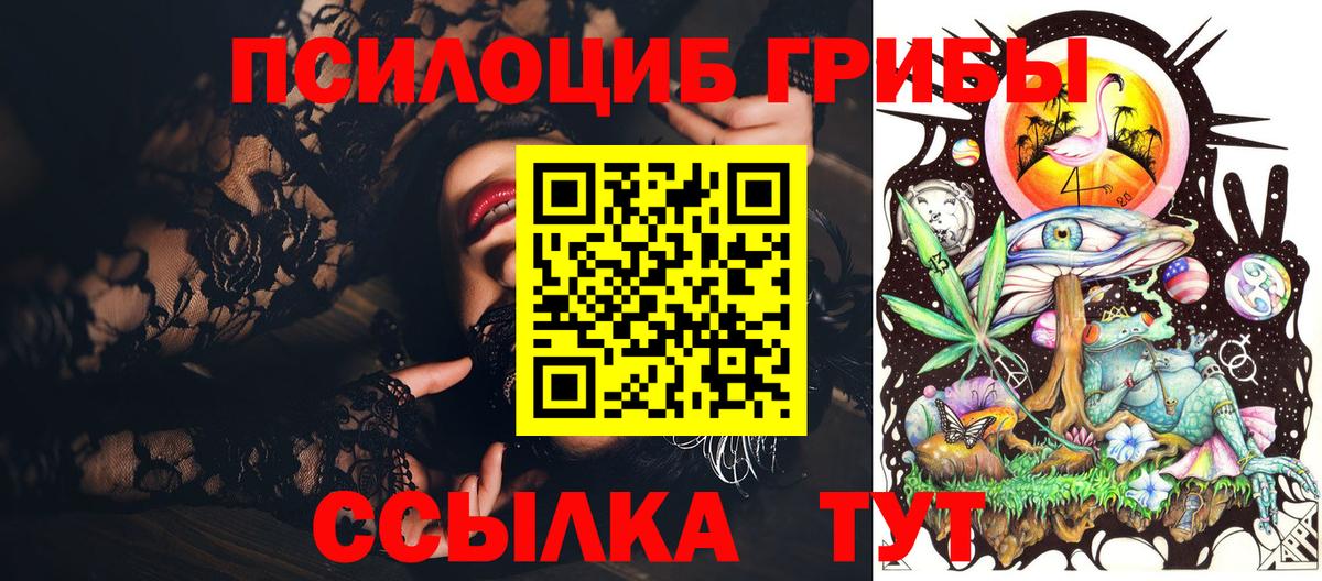 Обнинск  Псилоцибиновые грибы Psilocybe  Вход с VPN 