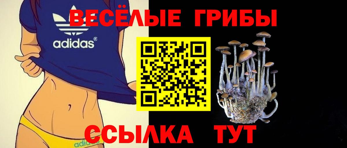 Галлюциногенные грибы ЛСД Обнинск