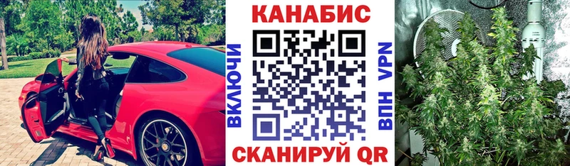 дарк нет как зайти  Обнинск  Конопля SATIVA & INDICA 